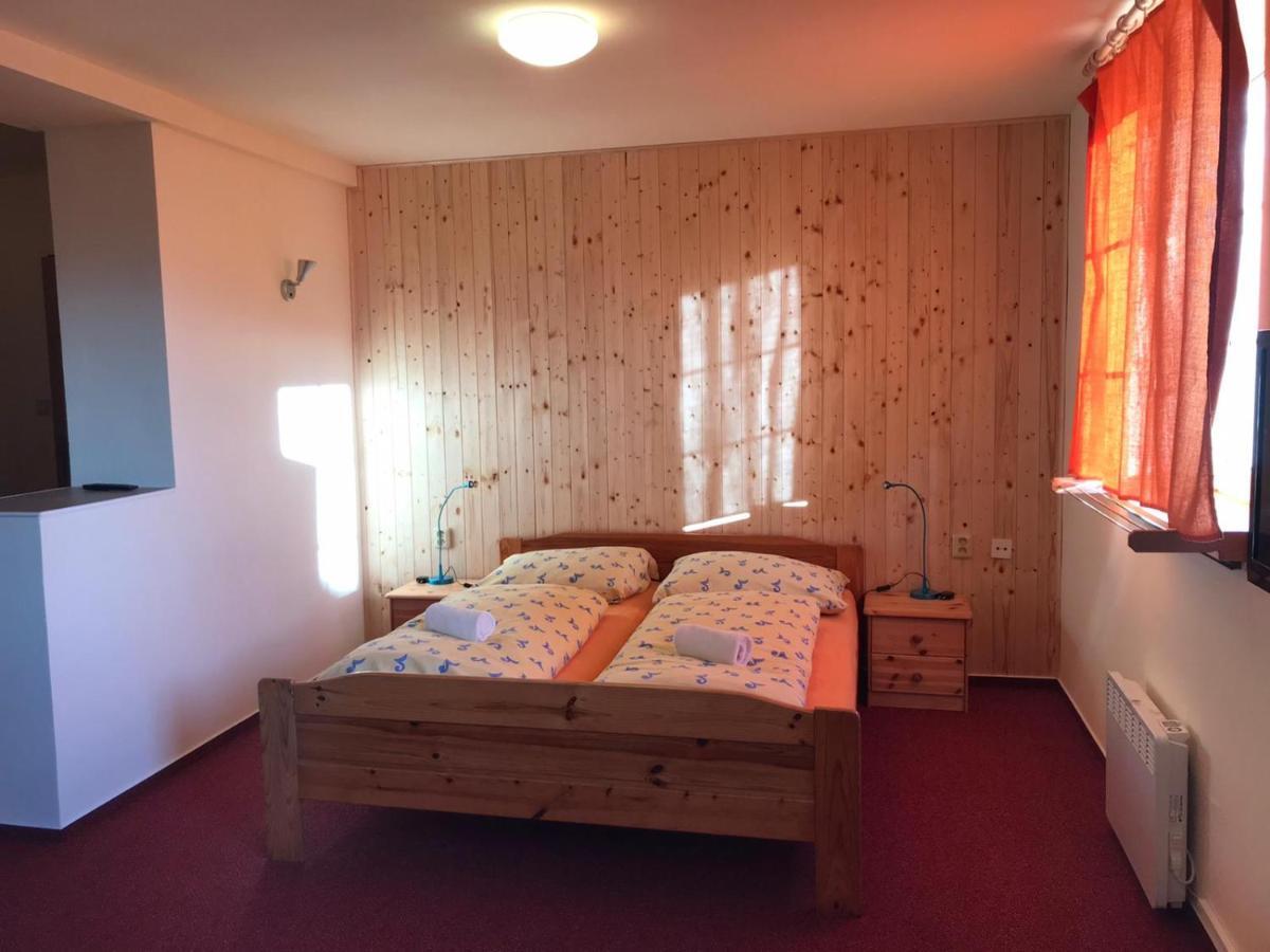 Studia Pod Lysou Leilighet Rokytnice nad Jizerou Eksteriør bilde